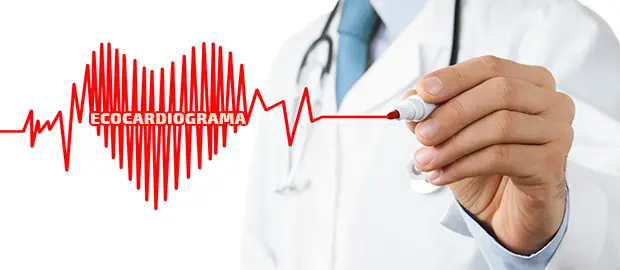 Ecocardiograma: um exame que ajuda a avaliar a saúde do coração